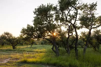 3149 Byrd Ranch Road, Johnson City, TX 78636 - Photo 28