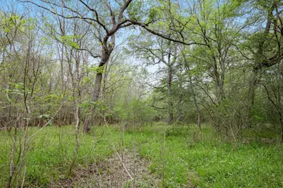 Tbd (+/- 25 Acres) County Road 433, Dime Box, TX 77853 - Photo 18