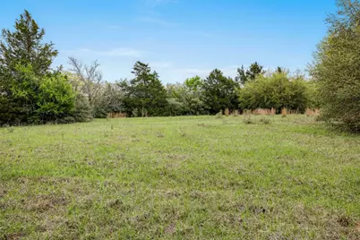 Tbd (+/- 25 Acres) County Road 433, Dime Box, TX 77853 - Photo 12