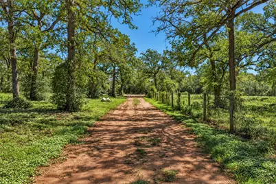 1208 Jeddo Road, Rosanky, TX 78953 - Photo 2