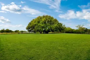 149 Proclamation Ave, Liberty Hill, TX 78642 - Photo 24