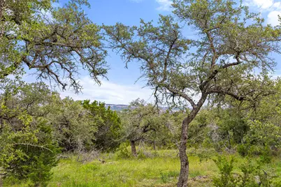 31860 Mirela Ann Road, Dripping Springs, TX 78620 - Photo 1