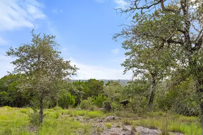 31860 Mirela Ann Road, Dripping Springs, TX 78620 - Photo 16