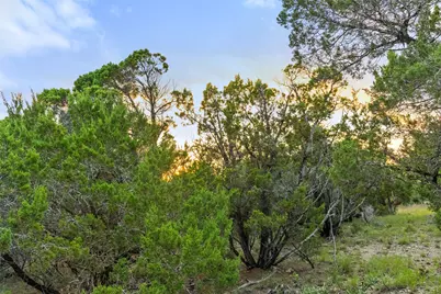 31860 Mirela Ann Road, Dripping Springs, TX 78620 - Photo 10