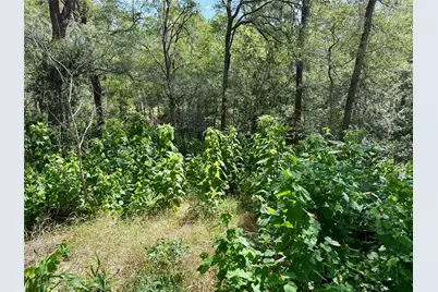 342 Riverside Drive, Bastrop, TX 78602 - Photo 16