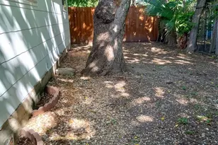 4500 Ave D Ave, Austin, TX 78751 - Photo 16