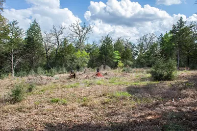 Tbd Edgewood Trail, Paige, TX 78659 - Photo 16