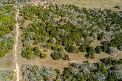 Tbd Edgewood Trail, Paige, TX 78659 - Photo 28
