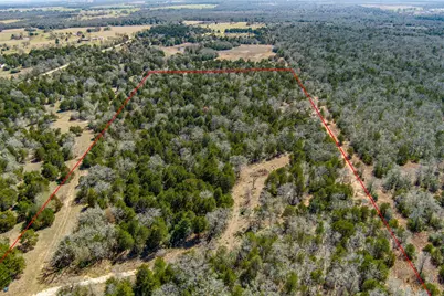 Tbd Edgewood Trail, Paige, TX 78659 - Photo 26