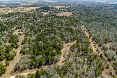 Tbd Edgewood Trail, Paige, TX 78659 - Photo 16