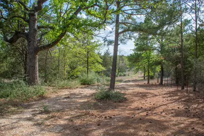 Tbd Edgewood Trail, Paige, TX 78659 - Photo 10