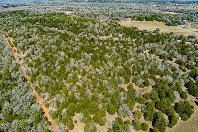 Tbd Edgewood Trail, Paige, TX 78659 - Photo 2