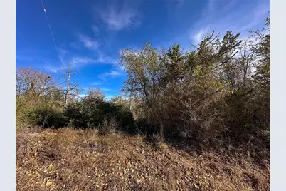 243 Hanauma Drive, Bastrop, TX 78602 - Photo 6