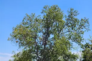 18327 Blake Manor Rd Rd, Manor, TX 78653 - Photo 20