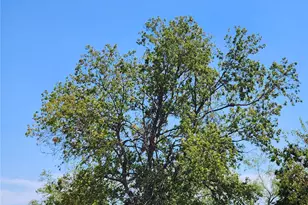 18327 Blake Manor Rd Rd, Manor, TX 78653 - Photo 20