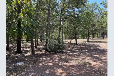 109 High View Ranch Drive, Cedar Creek, TX 78612 - Photo 18
