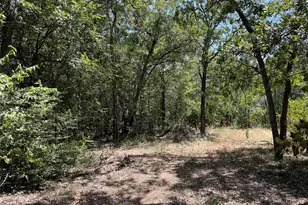 109 High View Ranch Dr, Cedar Creek, TX 78612 - Photo 20