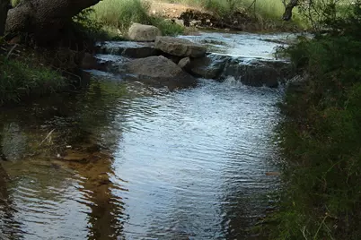 1014 #2 20 Acres Broken Spoke, Canyon Lake, TX 78133 - Photo 6