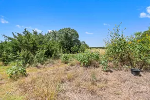 2529 Choctaw Pl, Leander, TX 78641 - Photo 32