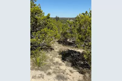 530 Lost Valley Road, Dripping Springs, TX 78620 - Photo 4