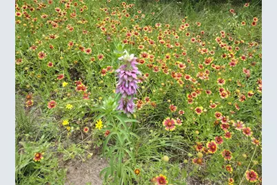 22303 Honeycomb Lane, Leander, TX 78641 - Photo 40