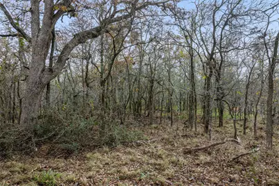 1088 Bugtussle Lane, Luling, TX 78648 - Photo 4