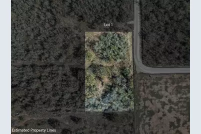 1088 Bugtussle Lane, Luling, TX 78648 - Photo 8