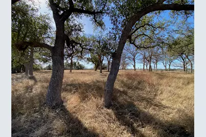 304 Lightning Ranch Point, Georgetown, TX 78628 - Photo 2
