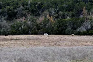 1441 Gatlin Creek Rd, Dripping Springs, TX 78620 - Photo 8