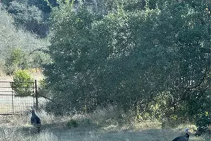 1441 Gatlin Creek Rd, Dripping Springs, TX 78620 - Photo 18