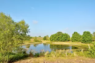 14512 Graef Rd, Creedmoor, TX 78610 - Photo 4