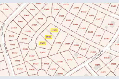 Lot 54 Akala Lane, Bastrop, TX 78602 - Photo 8