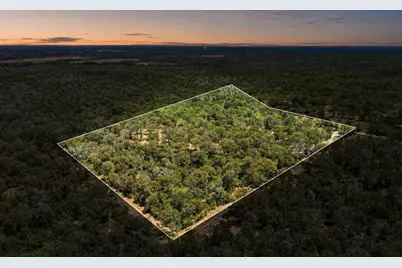 388 The Forest Road, Dale, TX 78616 - Photo 1
