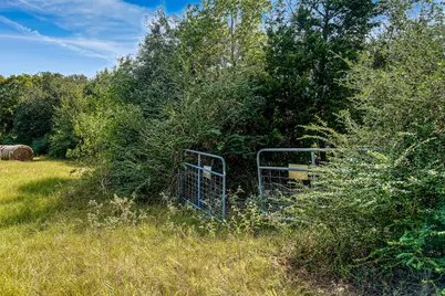 37280 Clapp Road, Brookshire, TX 77423 - Photo 4