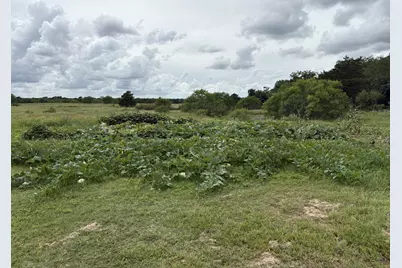 2990 S 304 Highway, Rosanky, TX 78953 - Photo 16