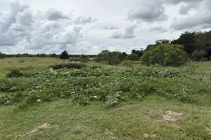 2990 S 304 Hwy, Rosanky, TX 78953 - Photo 16