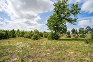 959 Hwy 21 Hwy E, Bastrop, TX 78602 - Photo 34