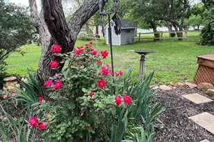 318 Clear Creek Dr, Burnet, TX 78611 - Photo 36