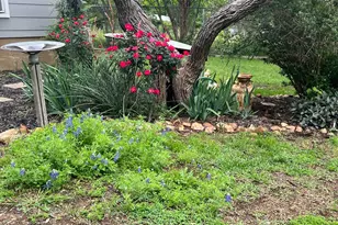 318 Clear Creek Dr, Burnet, TX 78611 - Photo 34