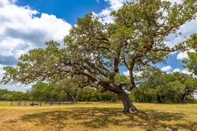 2160 (Tract #5) Baca Loop, Flatonia, TX 78941 - Photo 8