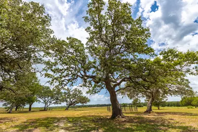 2160 (Tract #5) Baca Loop, Flatonia, TX 78941 - Photo 4