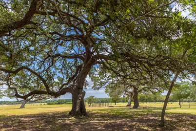 2160 (Tract #5) Baca Loop, Flatonia, TX 78941 - Photo 6
