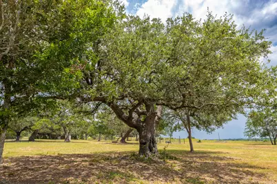 2160 (Tract #5) Baca Loop, Flatonia, TX 78941 - Photo 2