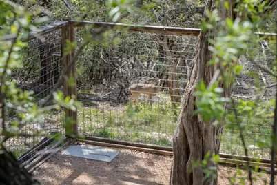 405 Ridgecrest Road, Georgetown, TX 78628 - Photo 36