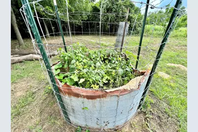 000 Fm 535, Rosanky, TX 78953 - Photo 18