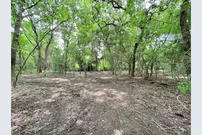 000 Fm 535, Rosanky, TX 78953 - Photo 8