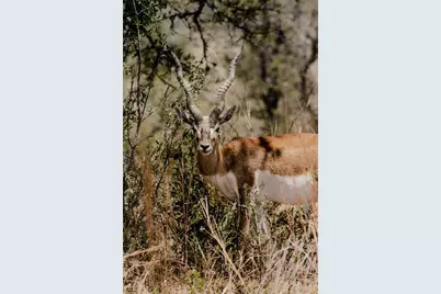 Lot 12 Ridgeway Trail, Johnson City, TX 78636 - Photo 26