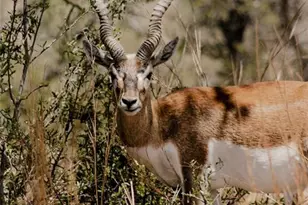 Lot 12 Ridgeway Trail, Johnson City, TX 78636 - Photo 26