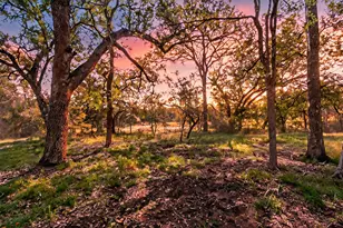 1400 Valley View Rd, Wimberley, TX 78676 - Photo 20