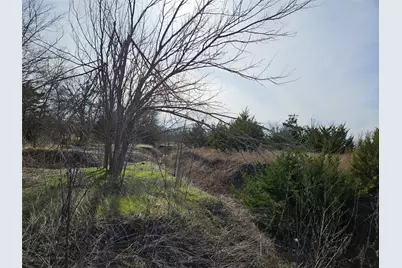 17726 N Fm 973 Road, Manor, TX 78653 - Photo 10